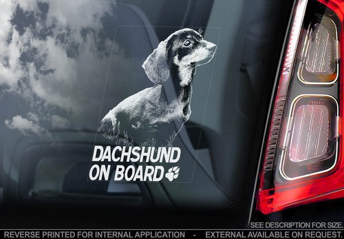 Dachshund car window sticker - dachshund,