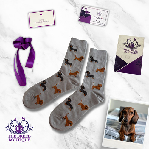 Dachshund socks red - socks, and