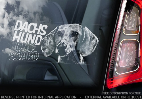 Dachshund car window sticker - dachshund,