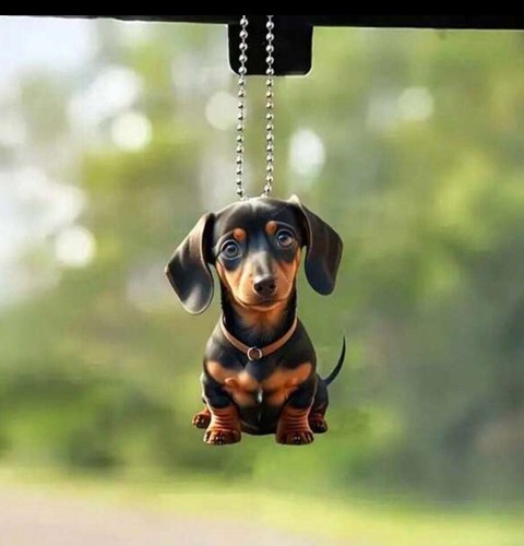 Dachshund acrylic printed - acrylic,