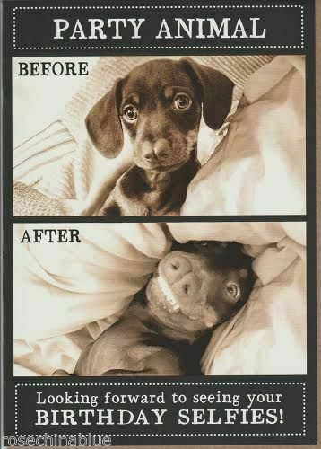 Funny birthday card dachshund - funny,