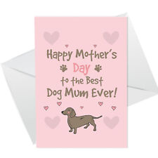 Dachshund Sausage Dog Mothers