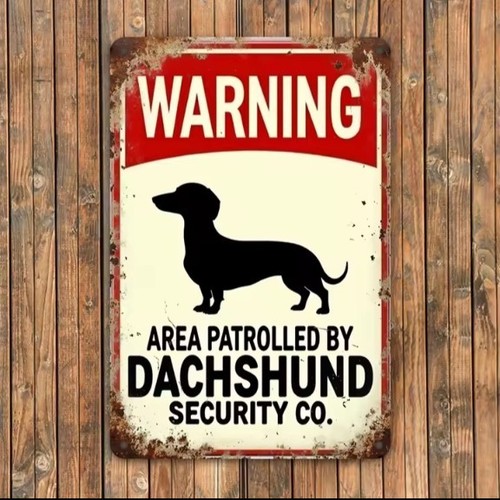 Warning dachshund security - -,