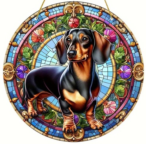 Dachshund sausage dog - dachshund,